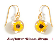 Sunflower Bloom Drops